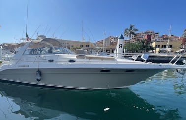 34' Sea Ray Summertime Motor Yacht Rental in Cabo San Lucas, Mexico