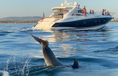 Sunseeker Portofino 53  em Vilamoura