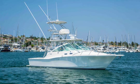 35' Cabo Express Power Yacht in Fajardo (perfect for large groups & families!)