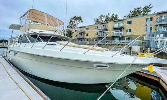 50 ft Private yacht in Marina del Rey. Your private group, BEST CHOICE IN LA!