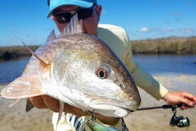 Private Charter Fishing  and 4 hour Island Boat Tours