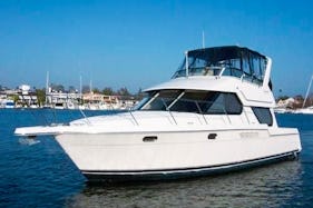 **NEW LISTING** Luxury Double Decker Yacht in Toronto