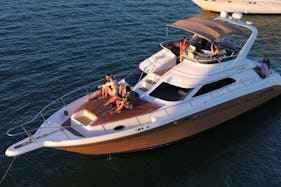 50FT FLYBRIDGE - 1 FREE Jet ski or $100 OFF