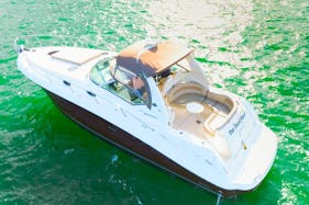 BEAUTIFUL  38’ SUNDANCER 12 GUEST