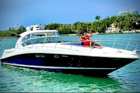 🏝️45ft ⭐️Yacht and jetski 🎉in miami ☀️Sea Ray 🐳 Sundancer 🍾 free