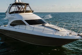 ENJOY MIAMI IN NEW 48FT SEARAY!!