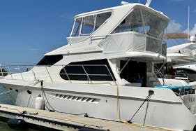 Yacht retreat in Naples/Marco Island, make your own unforgettable experience with 52' Ocean Alexander Motor Yacht!!