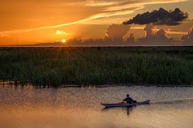  🌊🚣 Explore Grand Rapids Waters with Our Kayak Rentals! 🌊🚣