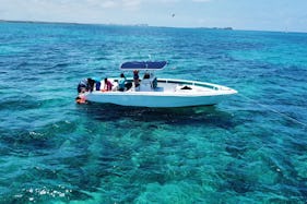 Nassau: Snorkeling, Sightseeing, Swimming Pigs, Multiple Islands 