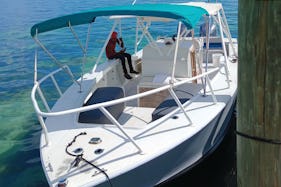 35ft ocean master sightseeing swimming pigs turtles and fishing trips