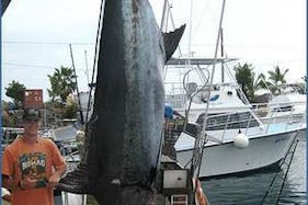 Private Sportfishing Charter in  Kona