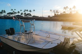 • FUN IN THE SUN - CRUISING - TOWING - SANDBAR