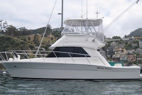 Beautiful 36’ Rivera Yacht Charter in San Diego