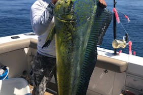 Cabo Express 45 Fishing Sport Yacht in Cabo San Lucas