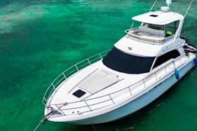 Enjoy Miami : Sea Ray 52 Yacht - Big Discounts! Inquire Now for the Best Deal!