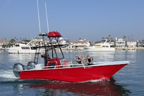 26' Seakeeper Stabilized Catamaran - Whale/Dolphin Watch with the Pros!