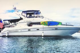 Sea Ray 450 Express Bridge to Enjoy the Beauty of San Diego!