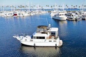 Good Time in LA ! 🐬 Great Water Experience  🌊🛥️🌊