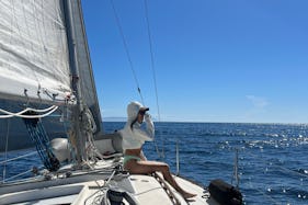 Amazing Private Sailing Charter on 36' Sailboat in Marina del Rey with Captain