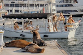 Luxury 22ft' Duffy Electric Boat with Captain | Marina del Rey, Los Angeles