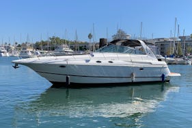 All about the GOOD TIMES 🥳 in a luxurious Cruiser Yacht in Marina del Rey🛥🌊🥳