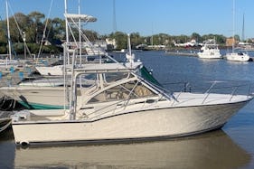 ''Miss Carolina'' Carolina Classic 35 Express Rental in Key West, Florida