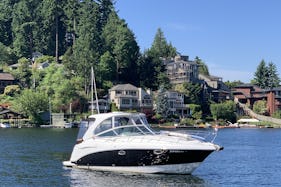 Chaparral 290 Cruiser - Enjoy Beautiful Lake Washington