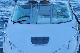 SeaRay 240 is back!  Enjoy waves, water or wine out on Lake Washington