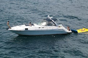 ***FORT LAUDERDALE*** - Gorgeous 45' Sea Ray Sundancer Yacht for Charter