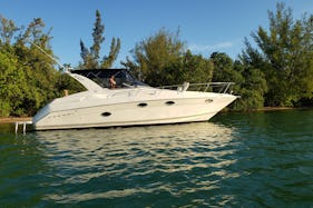 Delightful 32' Regal for Sightseeing & Sandbar Visit (Captain Included)