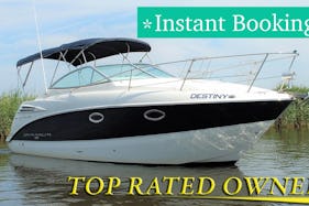 Cabin Cruiser Rental 