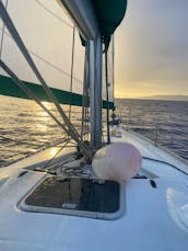 Have an exciting Very Private sailing adventure on a  Beneteau 43 Foot Luxury Yacht! Best of GetMyBoat 2021 and 2022 Winner! 🥇! Sail Away in Paradise! Kewalo Basin Honolulu!