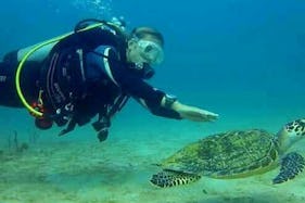 A Great Diving Experience in Cartagena, Colombia