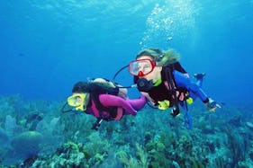 Diving Trips and Courses in Hong Kong