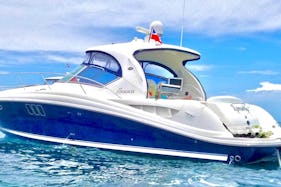 🏝️45ft ⭐️Yacht and jetski 🎉in miami ☀️Sea Ray 🐳 Sundancer 🍾 free