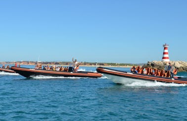 Fantastic Dolphin Watching Experience in the Algarve, Portugal