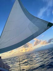 Have an exciting Very Private sailing adventure on a  Beneteau 43 Foot Luxury Yacht! Best of GetMyBoat 2021 and 2022 Winner! 🥇! Sail Away in Paradise! Kewalo Basin Honolulu!